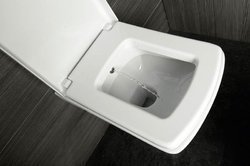 ISVEA SOLUZIONE závěsná WC mísa s bidet. sprškou, 35x50,5cm, bílá (10SZ02002 DL)