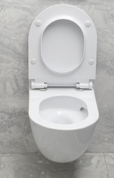 PURA závěsná WC mísa, Swirlflush, 55x36 cm, bílá dual-mat