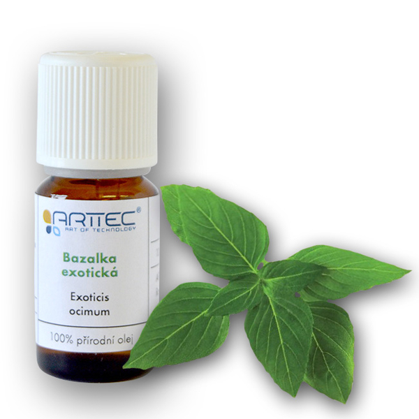 ARTTEC Bazalka exotická bio (Ocimum basilicum)